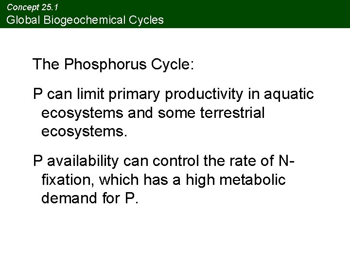 Concept 25. 1 Global Biogeochemical Cycles The Phosphorus Cycle: P can limit primary productivity