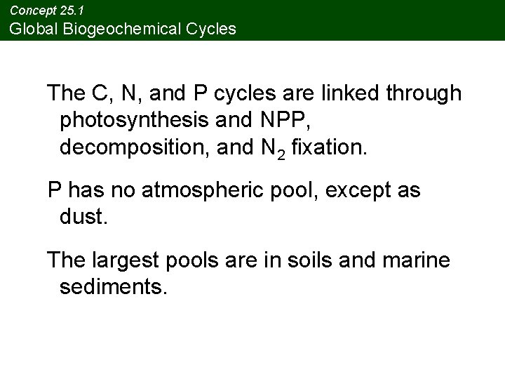 Concept 25. 1 Global Biogeochemical Cycles The C, N, and P cycles are linked