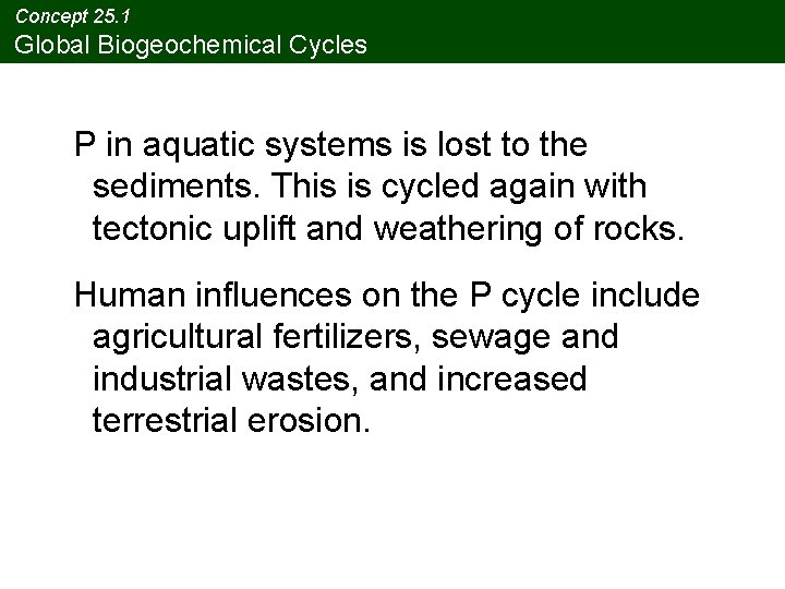 Concept 25. 1 Global Biogeochemical Cycles P in aquatic systems is lost to the