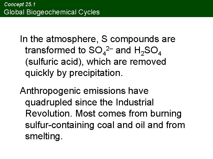 Concept 25. 1 Global Biogeochemical Cycles In the atmosphere, S compounds are transformed to