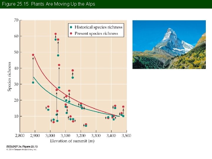 Figure 25. 15 Plants Are Moving Up the Alps 