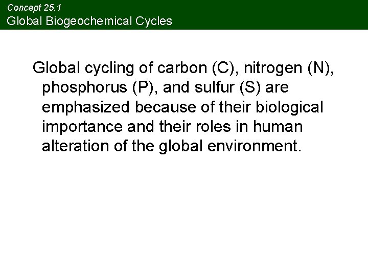 Concept 25. 1 Global Biogeochemical Cycles Global cycling of carbon (C), nitrogen (N), phosphorus