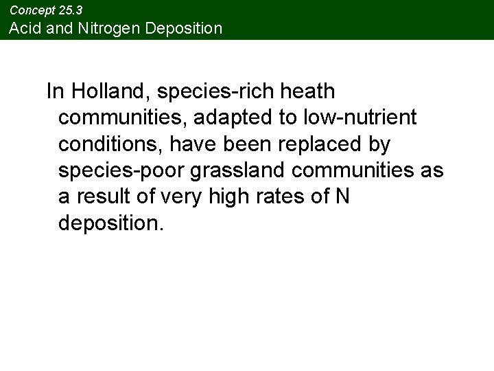 Concept 25. 3 Acid and Nitrogen Deposition In Holland, species-rich heath communities, adapted to