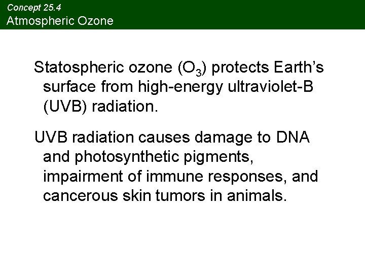 Concept 25. 4 Atmospheric Ozone Statospheric ozone (O 3) protects Earth’s surface from high-energy