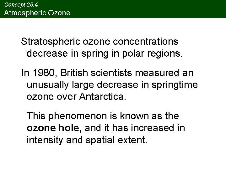 Concept 25. 4 Atmospheric Ozone Stratospheric ozone concentrations decrease in spring in polar regions.