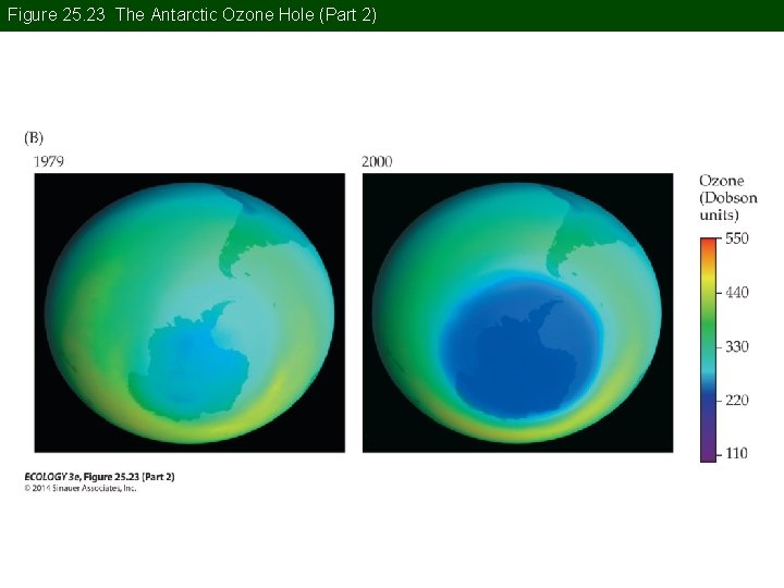 Figure 25. 23 The Antarctic Ozone Hole (Part 2) 