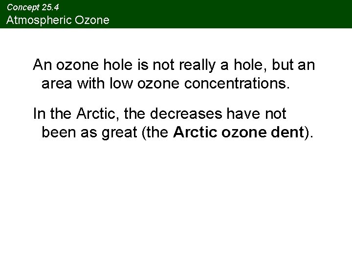 Concept 25. 4 Atmospheric Ozone An ozone hole is not really a hole, but