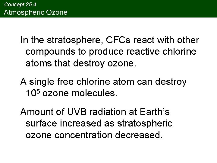 Concept 25. 4 Atmospheric Ozone In the stratosphere, CFCs react with other compounds to