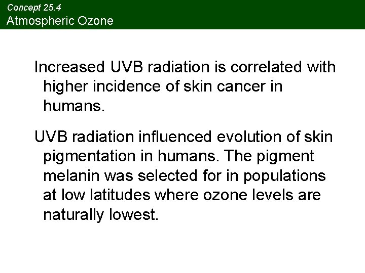 Concept 25. 4 Atmospheric Ozone Increased UVB radiation is correlated with higher incidence of