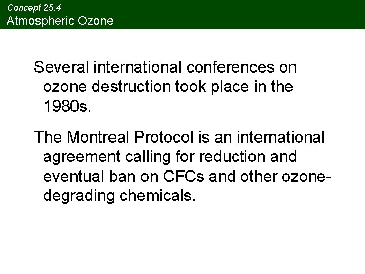 Concept 25. 4 Atmospheric Ozone Several international conferences on ozone destruction took place in
