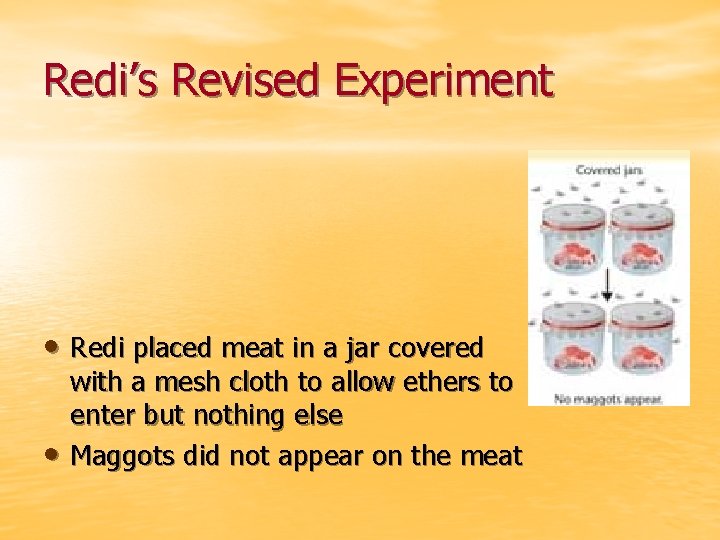 Redi’s Revised Experiment • Redi placed meat in a jar covered • with a