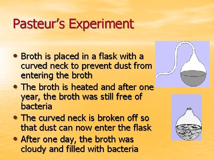 Pasteur’s Experiment • Broth is placed in a flask with a curved neck to