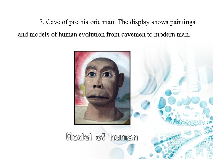 7. Cave of pre-historic man. The display shows paintings and models of human evolution