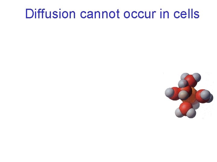 Diffusion cannot occur in cells 