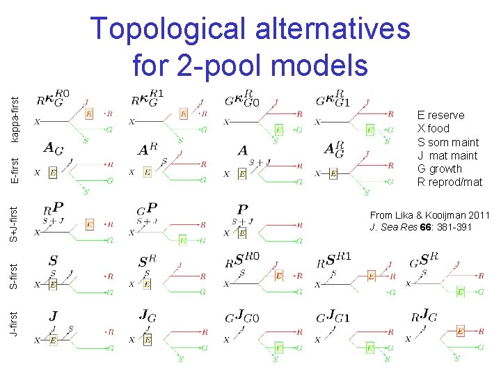 J-first S+J-first E-first kappa-first Topological alternatives for 2 -pool models E reserve X food