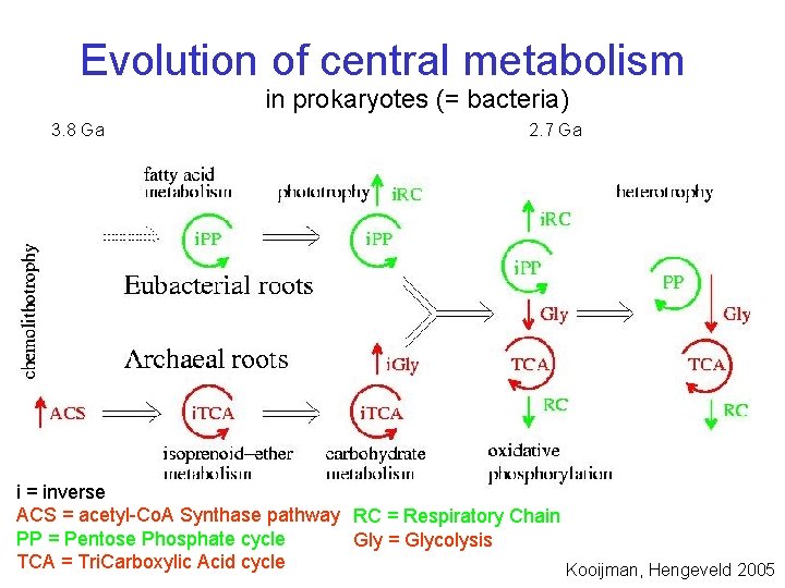 Evolution of central metabolism in prokaryotes (= bacteria) 3. 8 Ga 2. 7 Ga