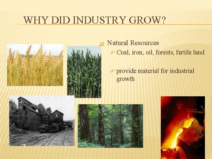 WHY DID INDUSTRY GROW? Natural Resources Coal, iron, oil, forests, fertile land provide material