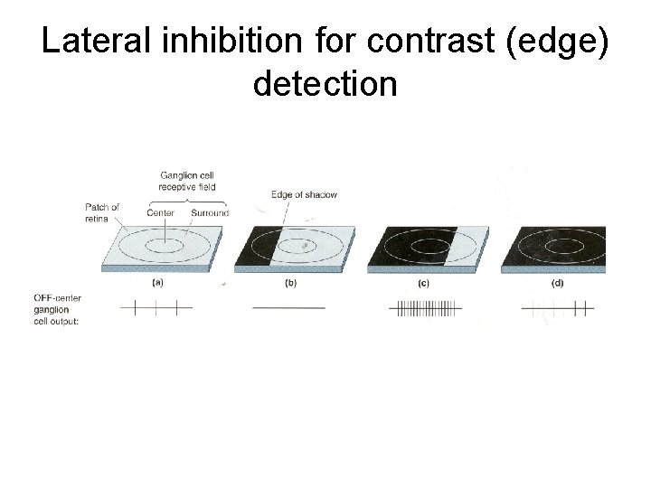 Lateral inhibition for contrast (edge) detection 