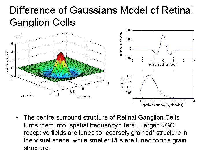 Difference of Gaussians Model of Retinal Ganglion Cells • The centre-surround structure of Retinal