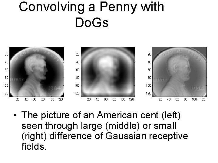 Convolving a Penny with Do. Gs • The picture of an American cent (left)