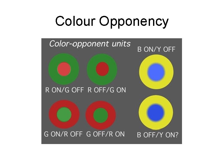 Colour Opponency 