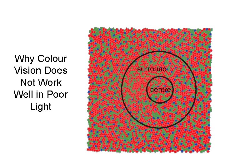 Why Colour Vision Does Not Work Well in Poor Light 