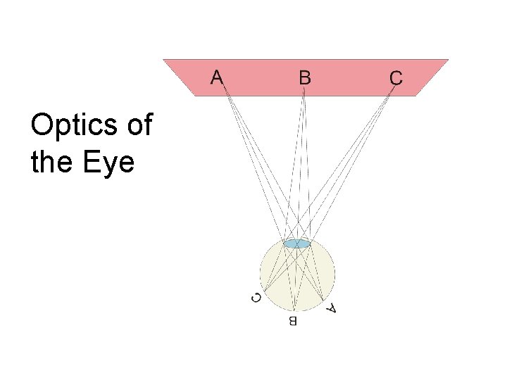 Optics of the Eye 