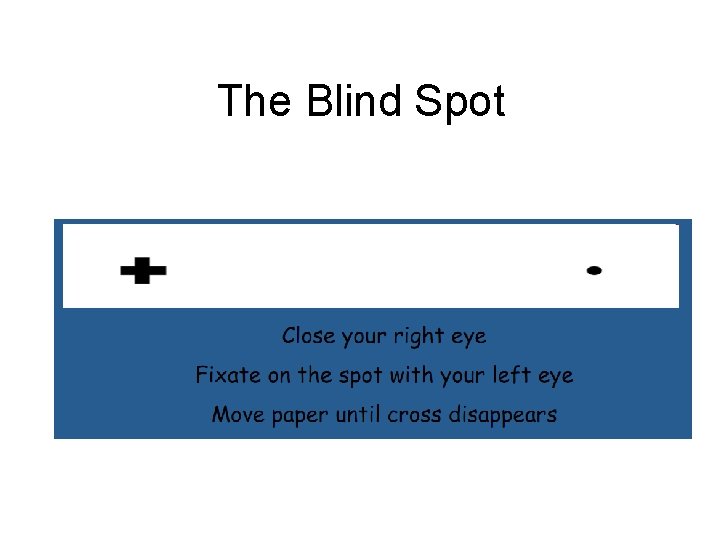 The Blind Spot 