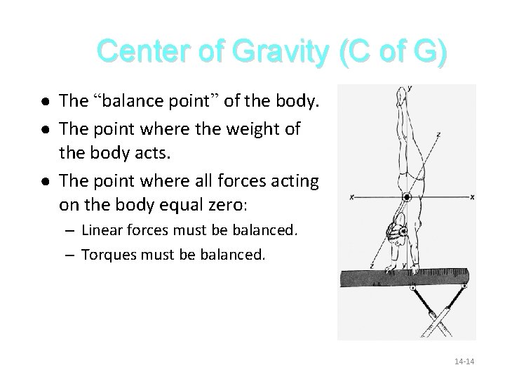 Center of Gravity (C of G) ● The “balance point” of the body. ●