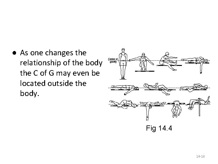 ● As one changes the relationship of the body the C of G may