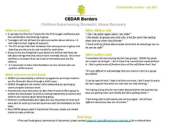 CEDAR Borders Bulletin – July 2015 CEDAR Borders Children Experiencing Domestic Abuse Recovery What