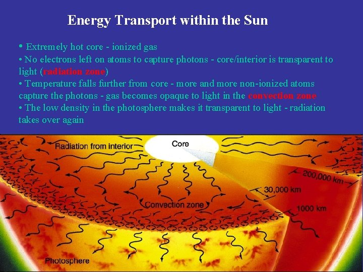 Energy Transport within the Sun • Extremely hot core - ionized gas • No