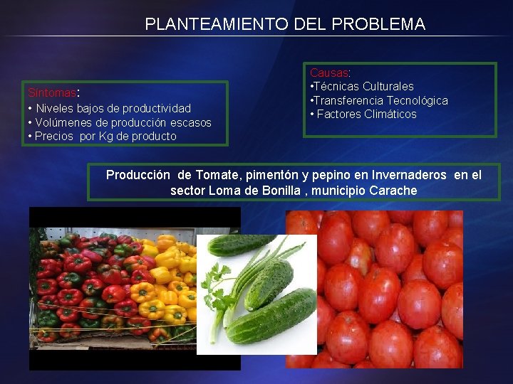 PLANTEAMIENTO DEL PROBLEMA Síntomas: • Niveles bajos de productividad • Volúmenes de producción escasos