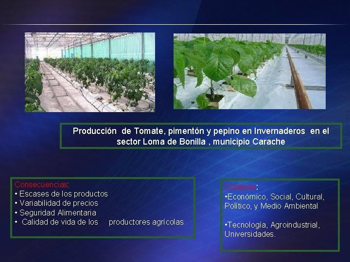 Producción de Tomate, pimentón y pepino en Invernaderos en el sector Loma de Bonilla