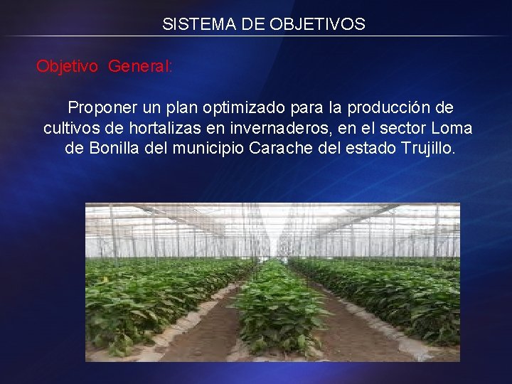 SISTEMA DE OBJETIVOS Objetivo General: Proponer un plan optimizado para la producción de cultivos