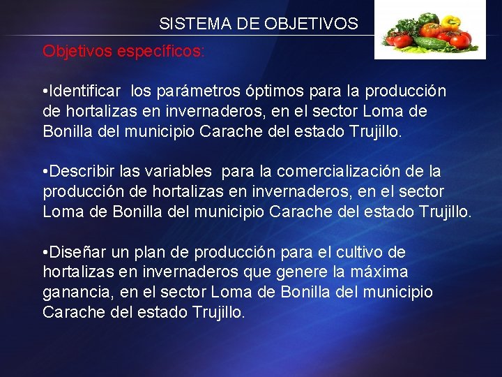 SISTEMA DE OBJETIVOS Objetivos específicos: • Identificar los parámetros óptimos para la producción de