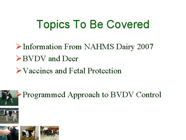 Topics To Be Covered Ø Information From NAHMS Dairy 2007 Ø BVDV and Deer