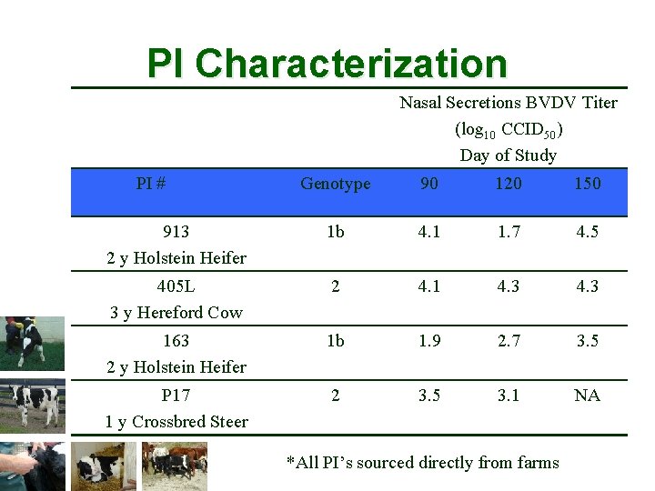 PI Characterization Nasal Secretions BVDV Titer (log 10 CCID 50) Day of Study PI