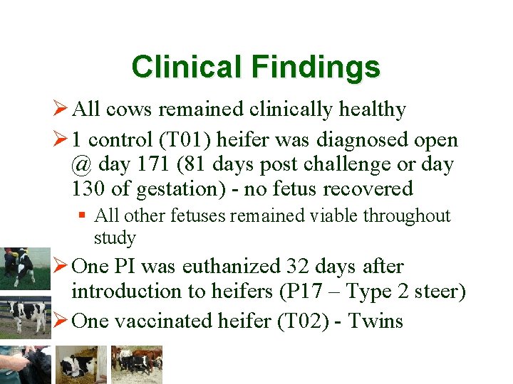 Clinical Findings Ø All cows remained clinically healthy Ø 1 control (T 01) heifer