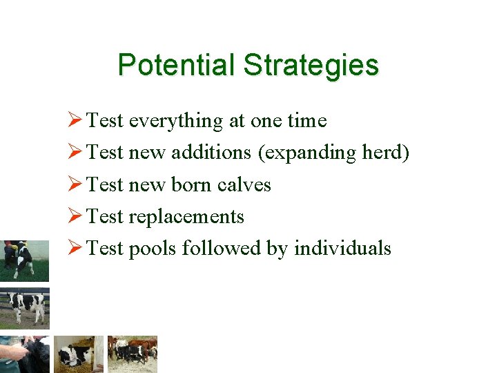 Potential Strategies Ø Test everything at one time Ø Test new additions (expanding herd)