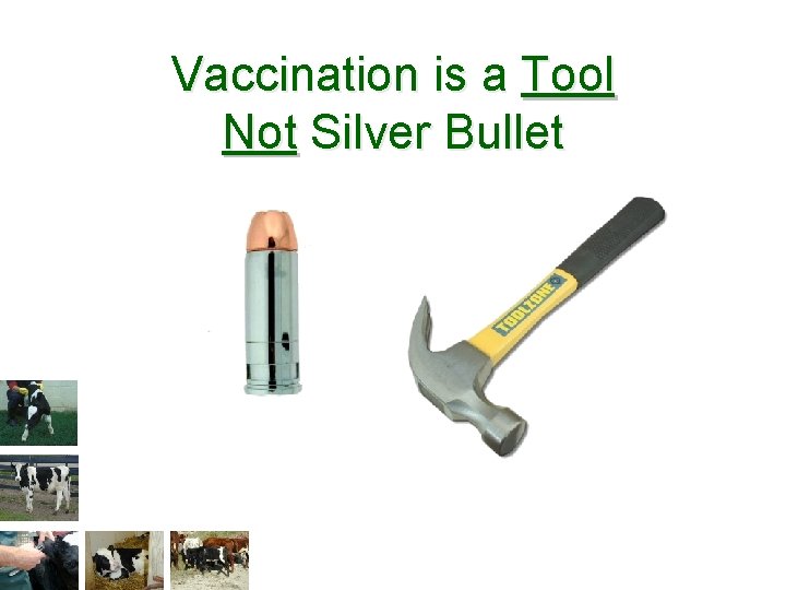 Vaccination is a Tool Not Silver Bullet 