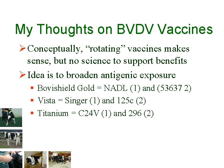 My Thoughts on BVDV Vaccines Ø Conceptually, “rotating” vaccines makes sense, but no science