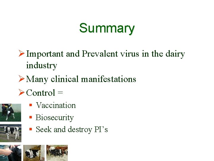 Summary Ø Important and Prevalent virus in the dairy industry Ø Many clinical manifestations