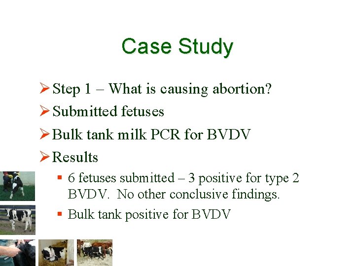 Case Study Ø Step 1 – What is causing abortion? Ø Submitted fetuses Ø