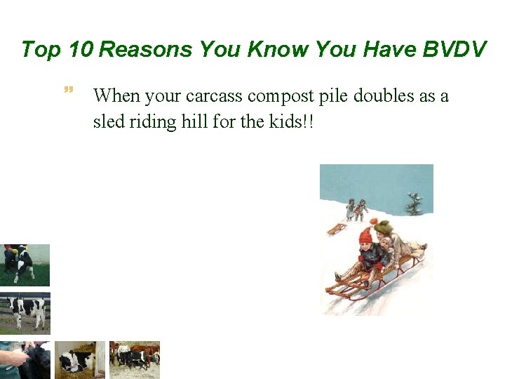 Top 10 Reasons You Know You Have BVDV ~ When your carcass compost pile