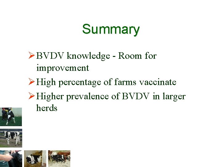 Summary Ø BVDV knowledge - Room for improvement Ø High percentage of farms vaccinate