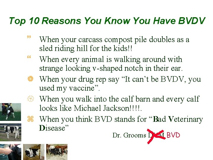 Top 10 Reasons You Know You Have BVDV ~ When your carcass compost pile