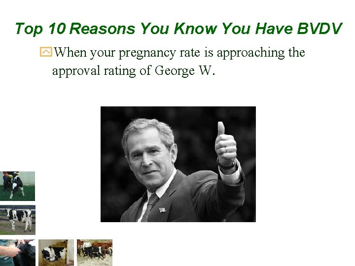 Top 10 Reasons You Know You Have BVDV y. When your pregnancy rate is