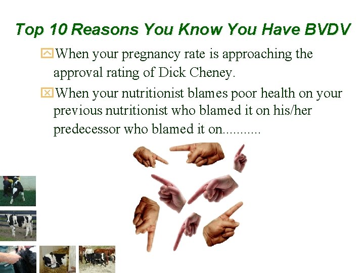 Top 10 Reasons You Know You Have BVDV y. When your pregnancy rate is