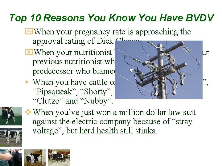 Top 10 Reasons You Know You Have BVDV y. When your pregnancy rate is